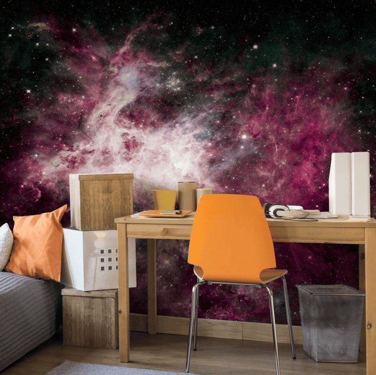 Pink Cosmos Wall Mural-Space-Eazywallz