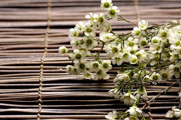 Plum flower on bamboo mat Wall Mural-Florals,Zen,Featured Category of the Month-Eazywallz