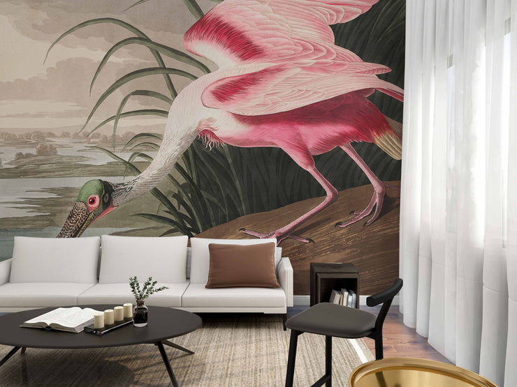 Roseate Spoonbill Wall Mural