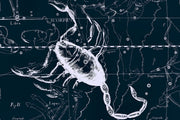 Scorpio Constellation Map in Navy Wall Mural-astrology-Eazywallz