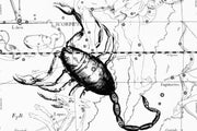 Scorpio Constellation Map Wall Mural-astrology-Eazywallz