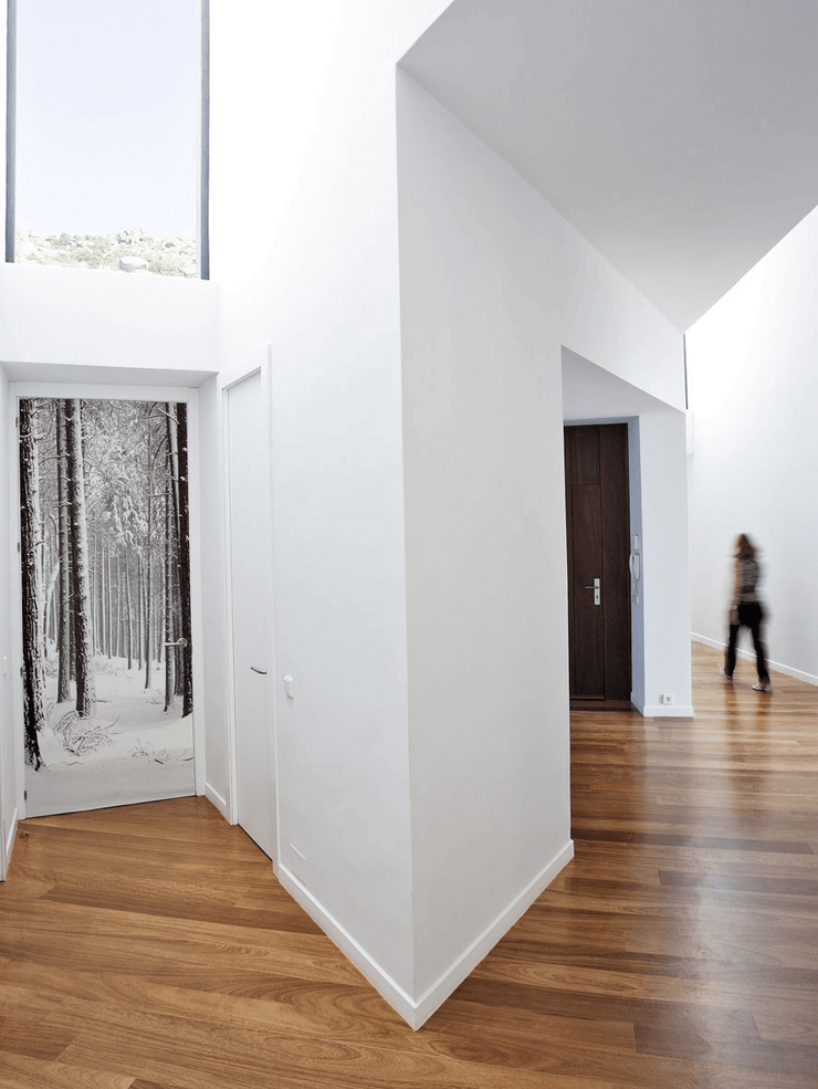 Snow Forest Door Mural-Landscapes & Nature-Eazywallz