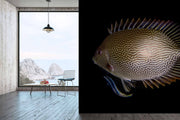 Photo Wallpaper The Fish