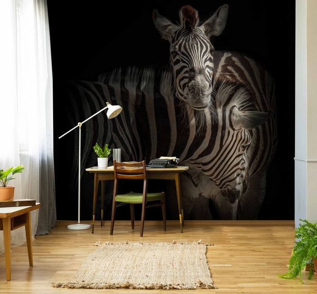 Photo Wallpaper The Zebra