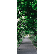 Tree Tunnel Door Mural-Landscapes & Nature-Eazywallz