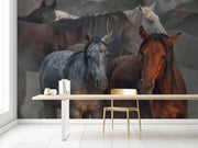 Photo Wallpaper Two Horses