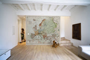 Vintage Map of Europe Wall Mural-Maps-Eazywallz