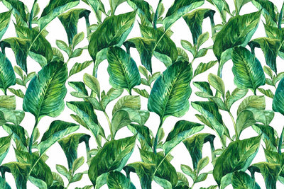 Exotic Leaves in Watercolour Wallpaper Mural