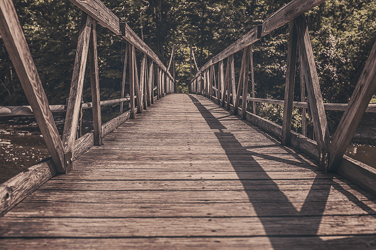 Wooden Bridge in Forest Wall Mural-Zen,Landscapes & Nature-Eazywallz