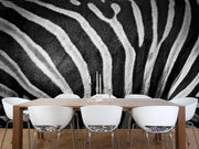 Zebra stripes Wall Mural-Animals & Wildlife,Black & White,Textures,Staff Favourite Murals-Eazywallz